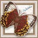 Вышивка на пластиковой основе - Бабочка "Стихофтальма Луиза BGP-052