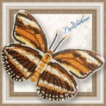 Вышивка на пластиковой основе - Бабочка "Dryadula Phaetusa BGP-050