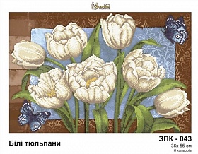 "����� �������� ���-043