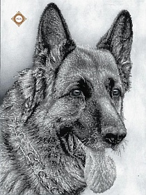 "������ ��-3183