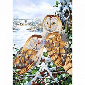 "������ ���� ���-2-019