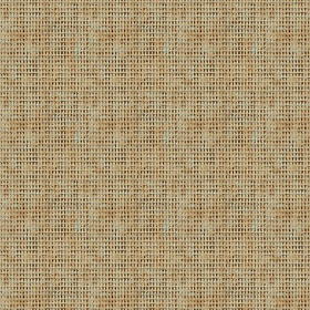 Man About Town - Buckskin 20423-34