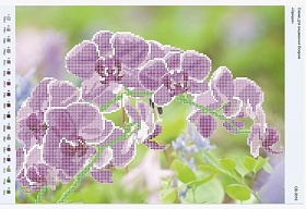 "�������" ��-3010