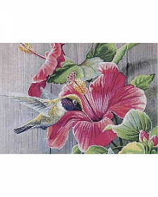 "�������-2 , �3-�-111