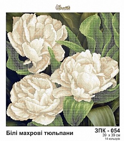 "����� �������� �������� ���-054