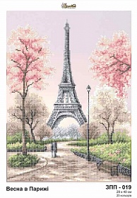 "����� � ������ ���-019