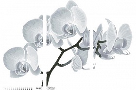 "Триптих - Монохромная серая орхидея" ТК-103