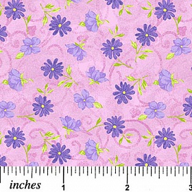 Butterfly Kisses 26-28-21