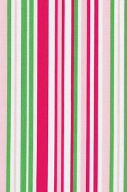 Crazy For Dots & Stripes 8173-002