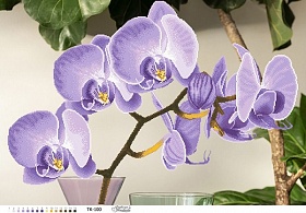 "Стильная фиолетовая орхидея" ТК-100