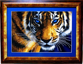 ������� - ���� A�2-003 ���2