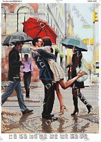 "������� � ������� ������ DANA-3206