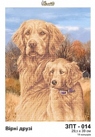 "������ ������ ���-014