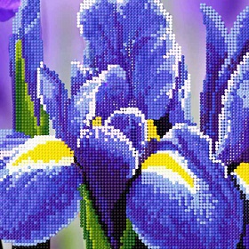 "����-����� TL-009� (17*17)