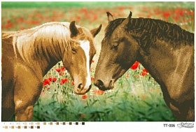 "���� � ����" ���.��-006