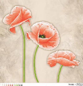 "����" ��-061