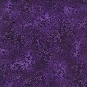 Fusions 5573, WINEBERRY