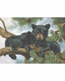 "����� , �3-�-825