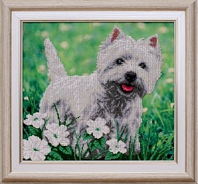 ''���� ������" ���.�-0904