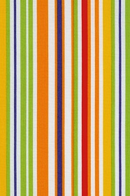 Crazy For Dots & Stripes 8173-003