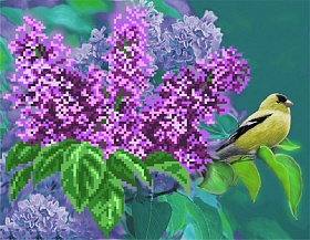 "����� ������, ������� �� ����� 4064