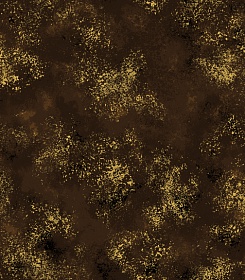 Peacock Paradise 20099�-99