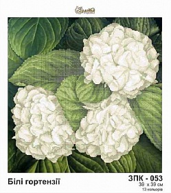 "����� ���������"  ���-053